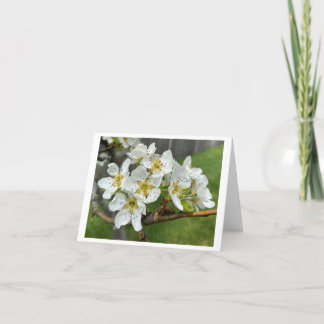 Cartão de Notas Folha Dupla