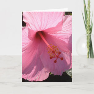 Cartão De Notas Foto de Belas Artes do Hibiscus Rosa Havaiano
