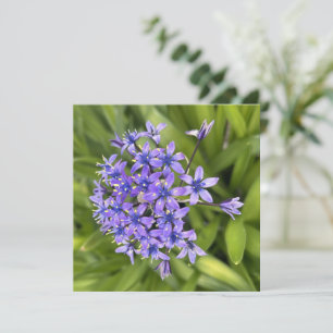 Cartão De Notas Foto de Natureza de Aproximação das Flores de Lula