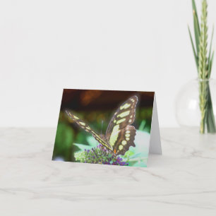 Cartão De Notas Fotografia da Natureza Borboleta na Flor 