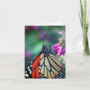 Cartão De Notas Fotografia da Natureza da Borboleta Monarca 