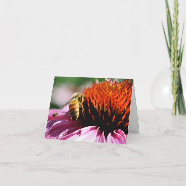 Cartão De Notas Fotografia de Abelha em Flor (Frente)