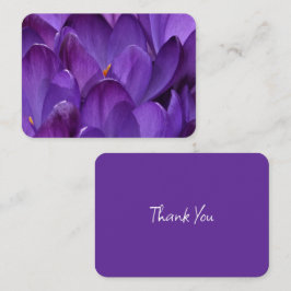 Cartão De Notas Fotografia de Crocus de Primavera