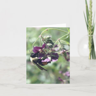 Cartão De Notas Fotografia de Flor com Abelha com Pólen