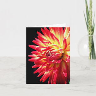 Cartão De Notas Fotografia de Flor de Dália Vermelha Vibrante