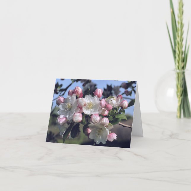 Cartão De Notas Fotografia de Flores de Flores Incríveis  (Frente)