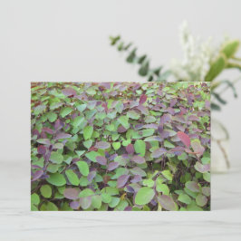 Cartão De Notas Fotografia de Folhas Vermelhas e Verdes