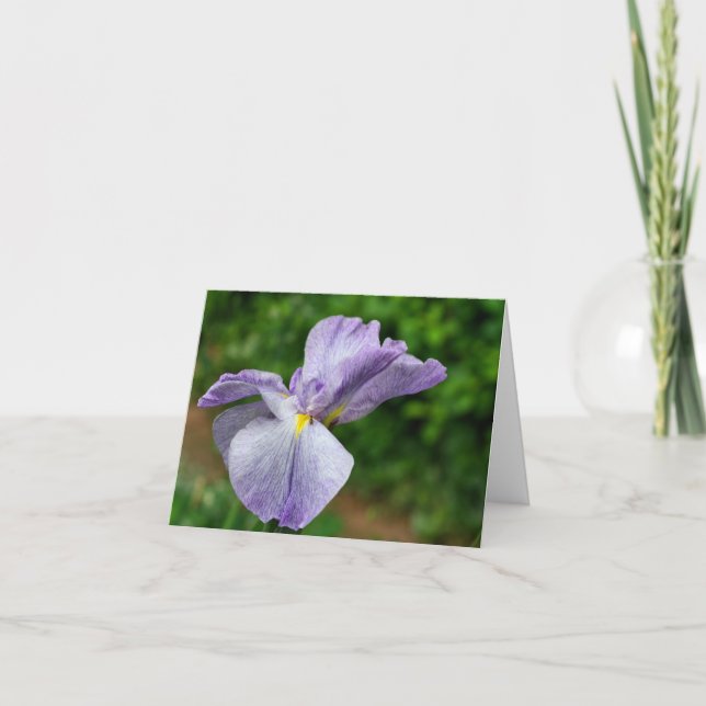 Cartão De Notas Fotografia de Íris Japonesa Desabrochando Flor (Frente)