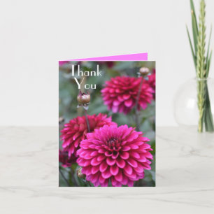 Cartão De Notas Fotografia Floral Rosa Dahlia Obrigado Saudação