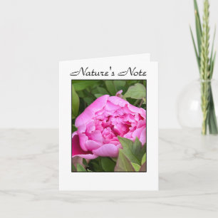 CARTÃO DE NOTAS GARDEN PEONY PHOTO FLORAL NOTE CARD