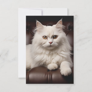 Cartão De Notas Gato branco majestoso