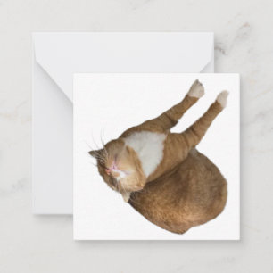 Cartão De Notas Gato de Sol de Cabeça para Baixo