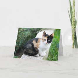 Cartão De Notas Gato Fantasma da Ópera