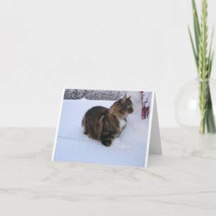 Cartão De Notas gato floresta norueguesa na neve