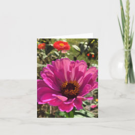 Cartão De Notas gerbera notecard (vazio)