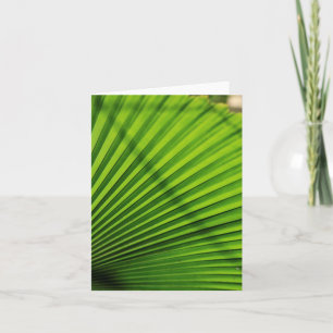 Cartão De Notas Giant Palm Leaf Pattern