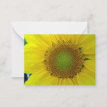 Girassol e Sementes, Espiral, Proporção Áurea