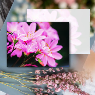 Cartão De Notas Girly Pink Spring Flowers Nature
