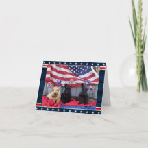 Guarda do sinalizador