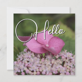 Cartão De Notas Hello naissance souhaiter bienvenue saluer rose