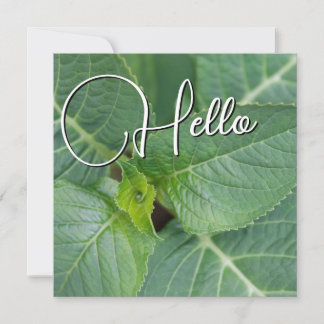 Cartão De Notas Hello naissance souhaiter bienvenue saluer vert