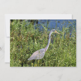 Cartão De Notas Herão Tricolor