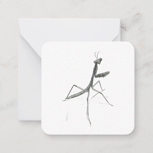 Cartão De Notas Hi there! Praying Mantis (Frente)
