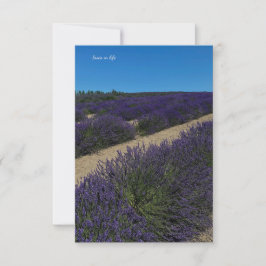 Cartão De Notas Hill of Lavanda Rows