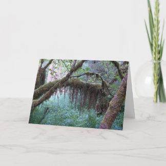 Cartão De Notas Hoth RainForest Olimpiadas National Park Note Card