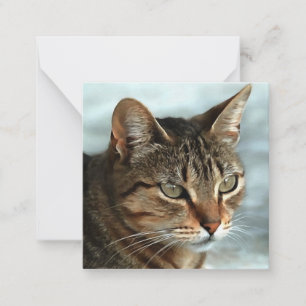 Cartão De Notas Impressionante Tabby Cat Close-up Retrato Artísti