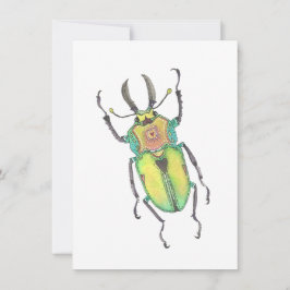 Cartão De Notas Inseto Rainbow Stag Beetle