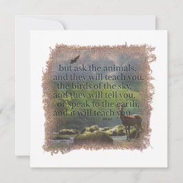 Cartão De Notas JOB 12:7 - Personalized Notecard