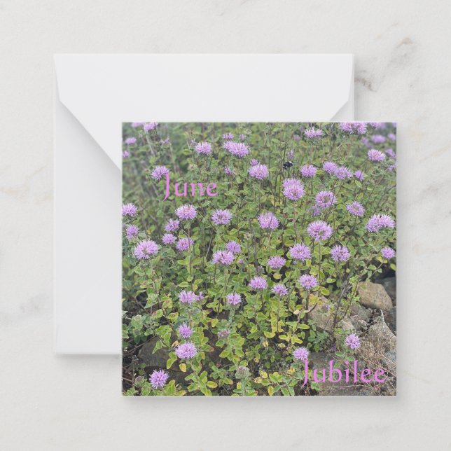 Cartão De Notas June Jubilee (Frente)