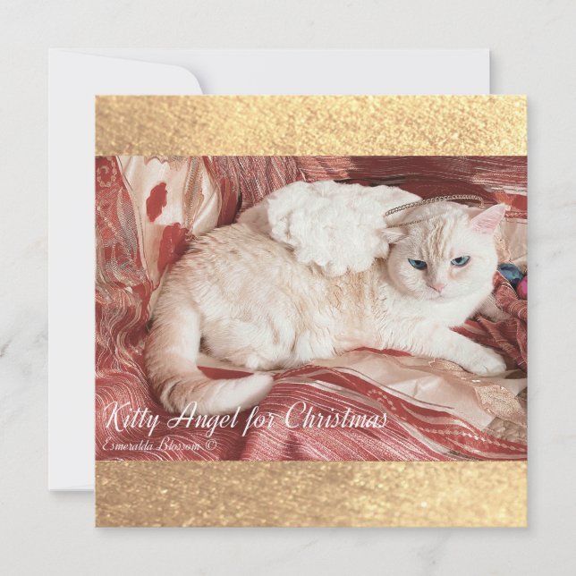 Cartão De Notas Kitty Angel for Christmas (Frente)