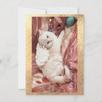 Kitty Angel para o Natal