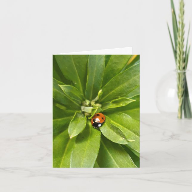 Cartão De Notas Ladybug em Flores (Frente)