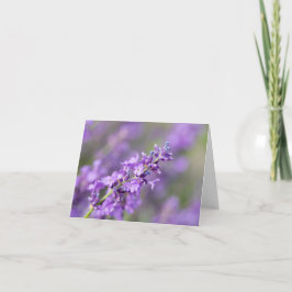 Cartão De Notas Lavanda