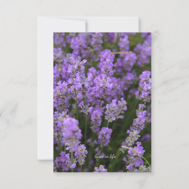 Cartão De Notas Lavanda de Luz Adorável (Frente)