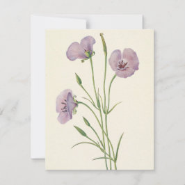 Cartão De Notas Lilac Mariposa por Mary Vaux Walcott