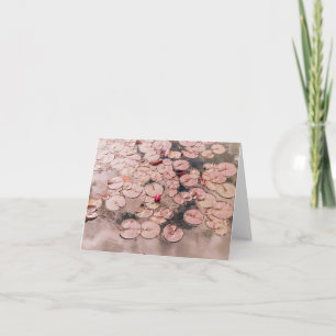 Cartão De Notas Lilypads em placa de Vazio rosa