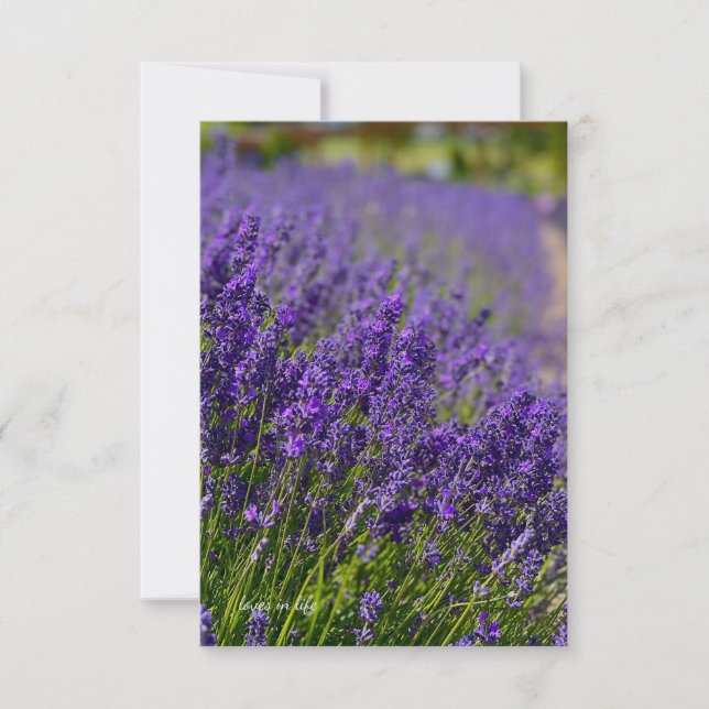 Cartão De Notas Linda linha Lavanda (Frente)