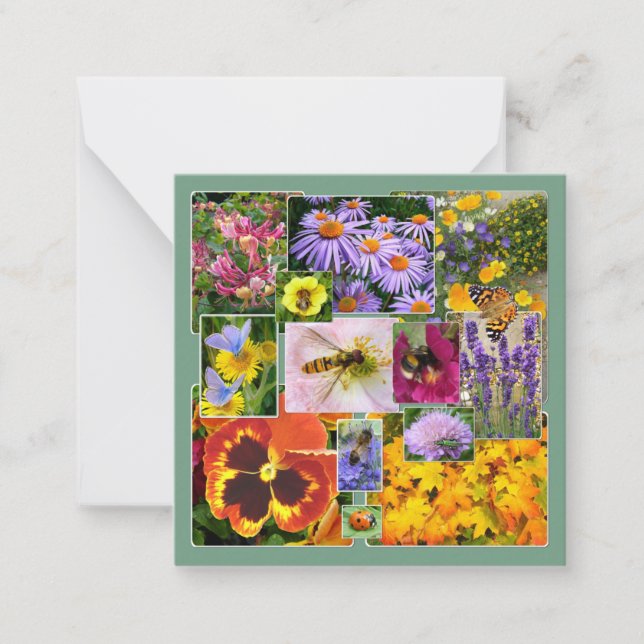 Cartão De Notas Lindos Flores de Verão e Colagem de Insetos (Frente)
