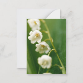 Cartão De Notas Lírio do vale Branco (Convallaria majalis)