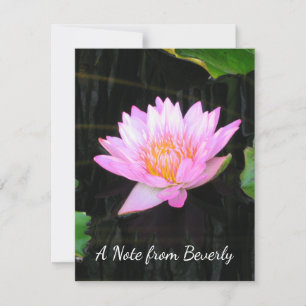 Cartão De Notas Lotus Waterlily Rosa