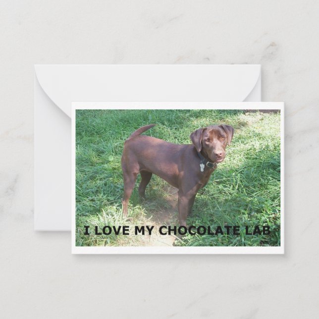Cartão De Notas LR chocolate lab amor com imagem (Frente)