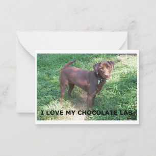 Cartão De Notas LR chocolate lab love with picture