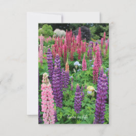 Cartão De Notas Lupine Garden