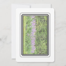 Lupines - Notecards Big Bay Rd 2023