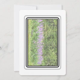 Cartão De Notas Lupines - Notecards Big Bay Rd 2023