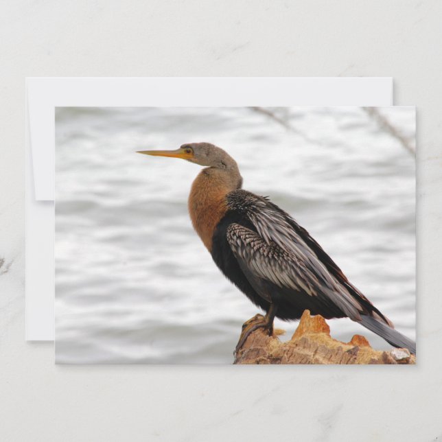 Cartão De Notas Na Pesquisa (Frente)